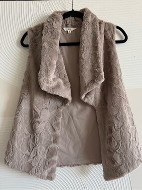 Jack by BB Dakota Plush Faux Fur Vest in Grey